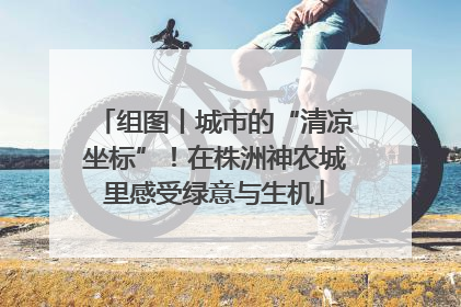 组图丨城市的“清凉坐标”！在株洲神农城里感受绿意与生机